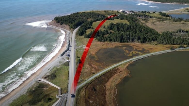 An aerial photo of a coastline, superimposed by a red line showing a proposed road realignment.