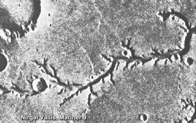 A grainy black and white photo seen from Mars' orbit shows a few craters and a long channel with smaller channels extending from it like a hairy plant root.