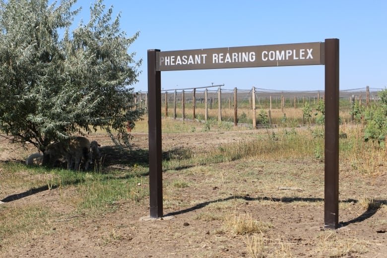 A sign that says "pheasant rearing complex."