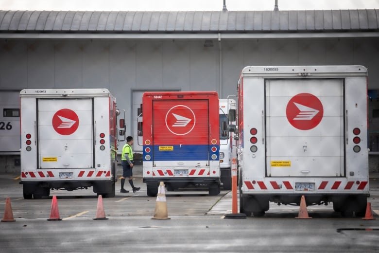 Three Canada Post trucks are pictured from the back at a facility.