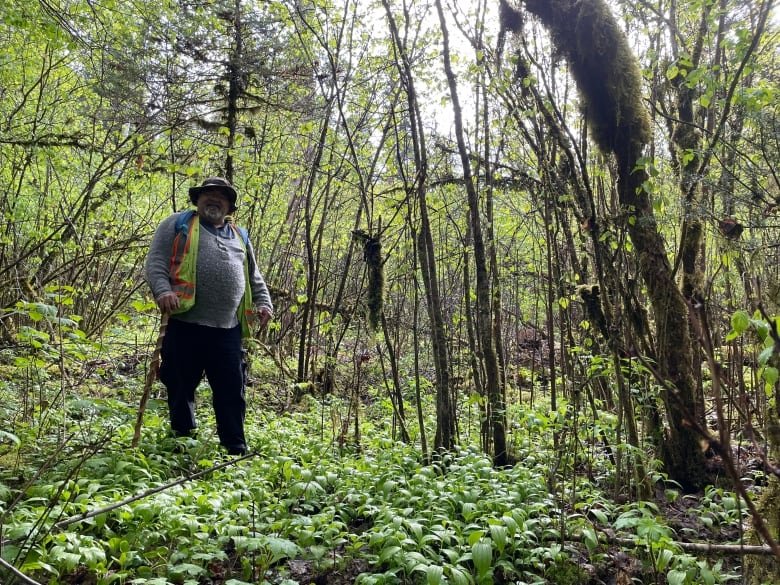 A man stands surrounded by thin trees in a green landscape.