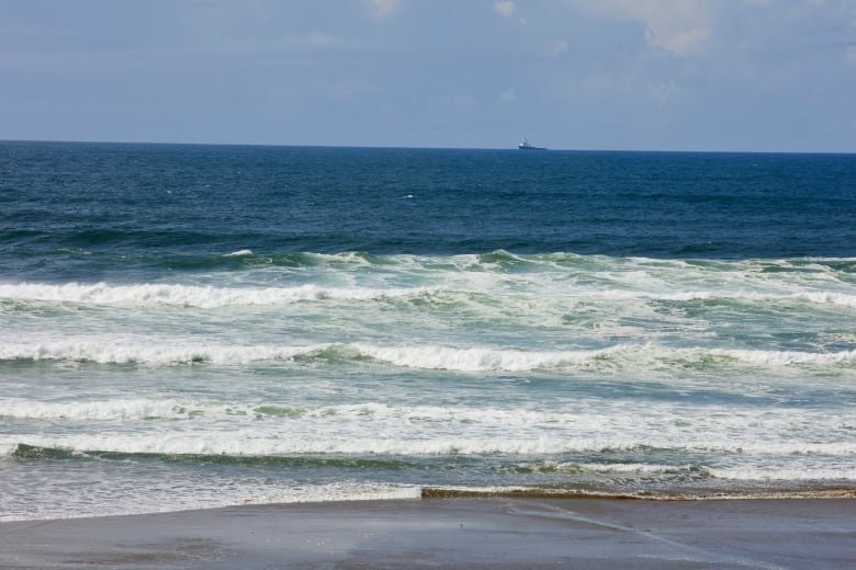 The ocean horizon is seen, with the waves lapping over the sand at the front of the picture.