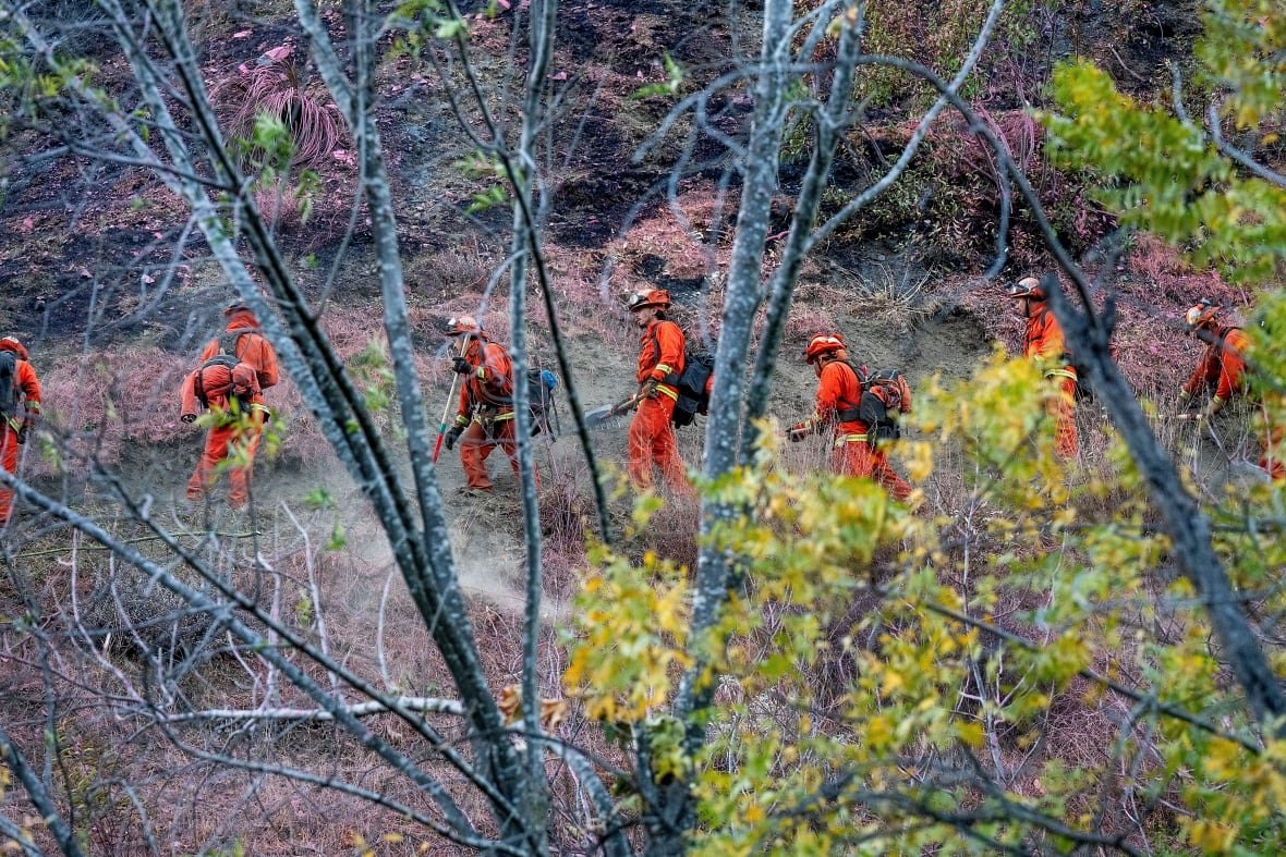 A line of firefighters  walk through the brush