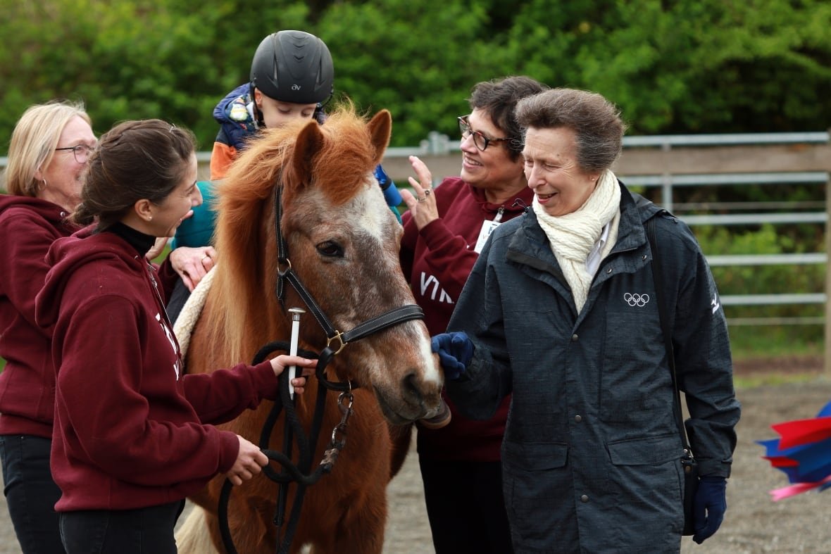 A person strokes the nose of a horse as someone sits on it and other people surround them.