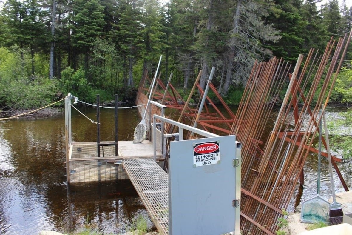 roger-jenkins-salmon-holding A metal barrier on a small brownish river. A sign saying authorized personnel only.Â