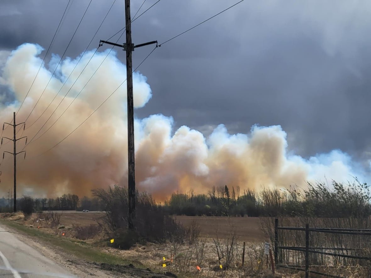 county-of-grande-prairie-fire-1 Large, thick clouds of smoke rise behind a field and a row of trees, blocking out the blue sky above.