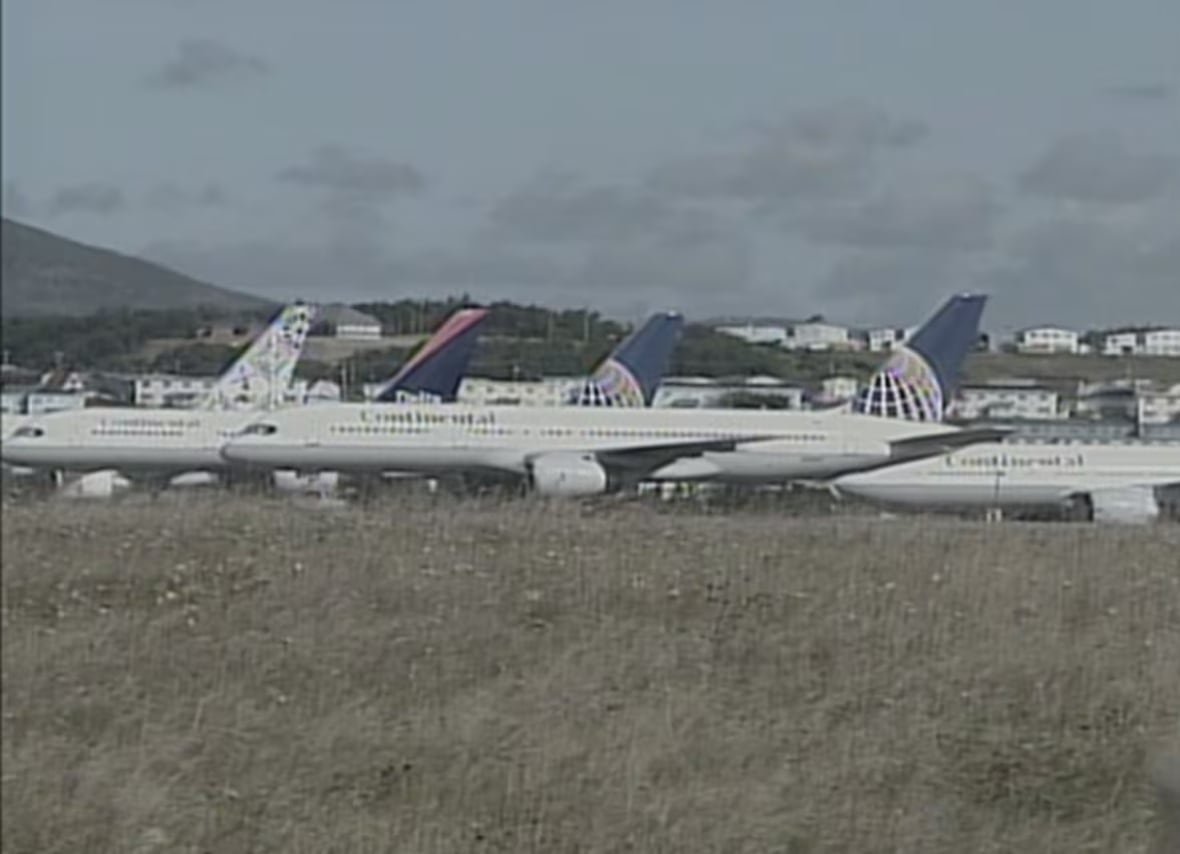gander-newfoundland A crowded airport runway.