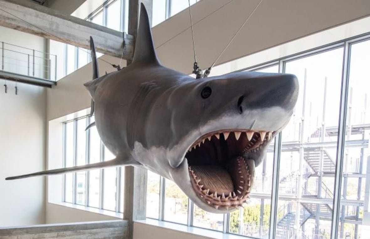 1235411732 "Bruce" the animatronic shark from the movie Jaws is displayed inside the Academy Museum Of Motion Pictures during the opening press event, in Los Angeles, California,