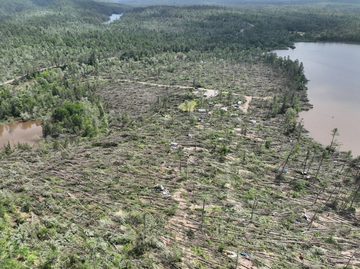 champlain-downburst An aerial image showing a section of forest with flattened trees.