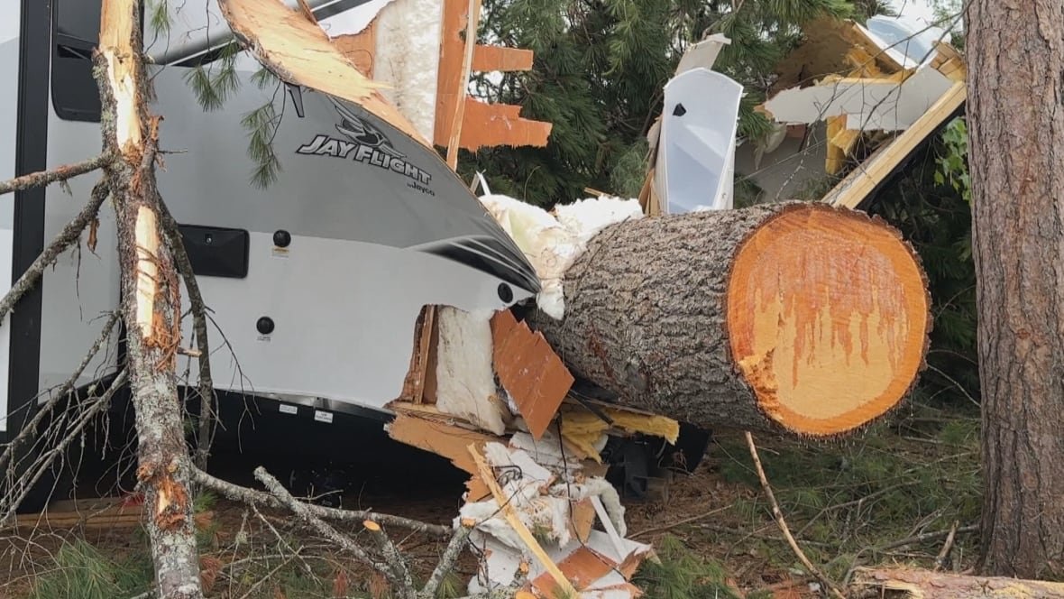 destroyed-trailer A destroyed camping trailer with a fallen tree on it.