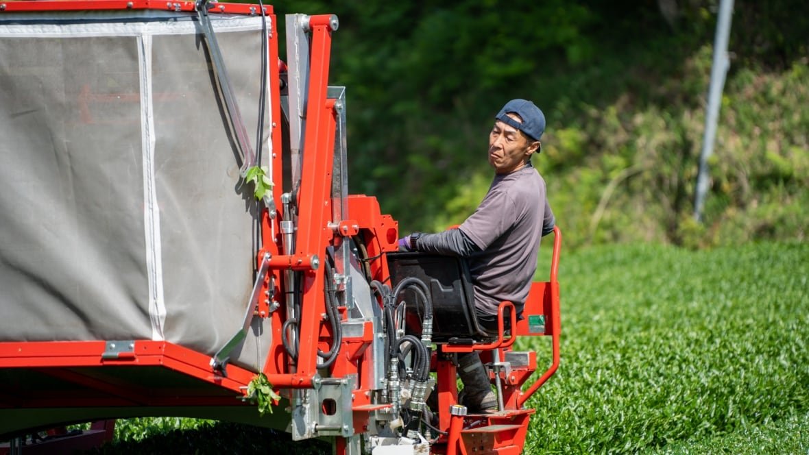 japanese-farmer An older man is shown using farming equipment.