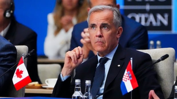 “NATO Leaders Agree on 5% Defense Spending Boost” “NATO Leaders Agree on 5% Defense Spending Boost”