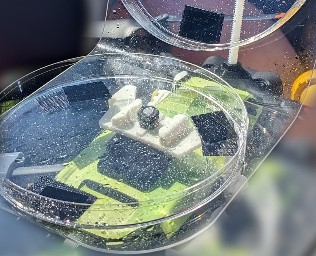 An open petri dish shows drops of moisture