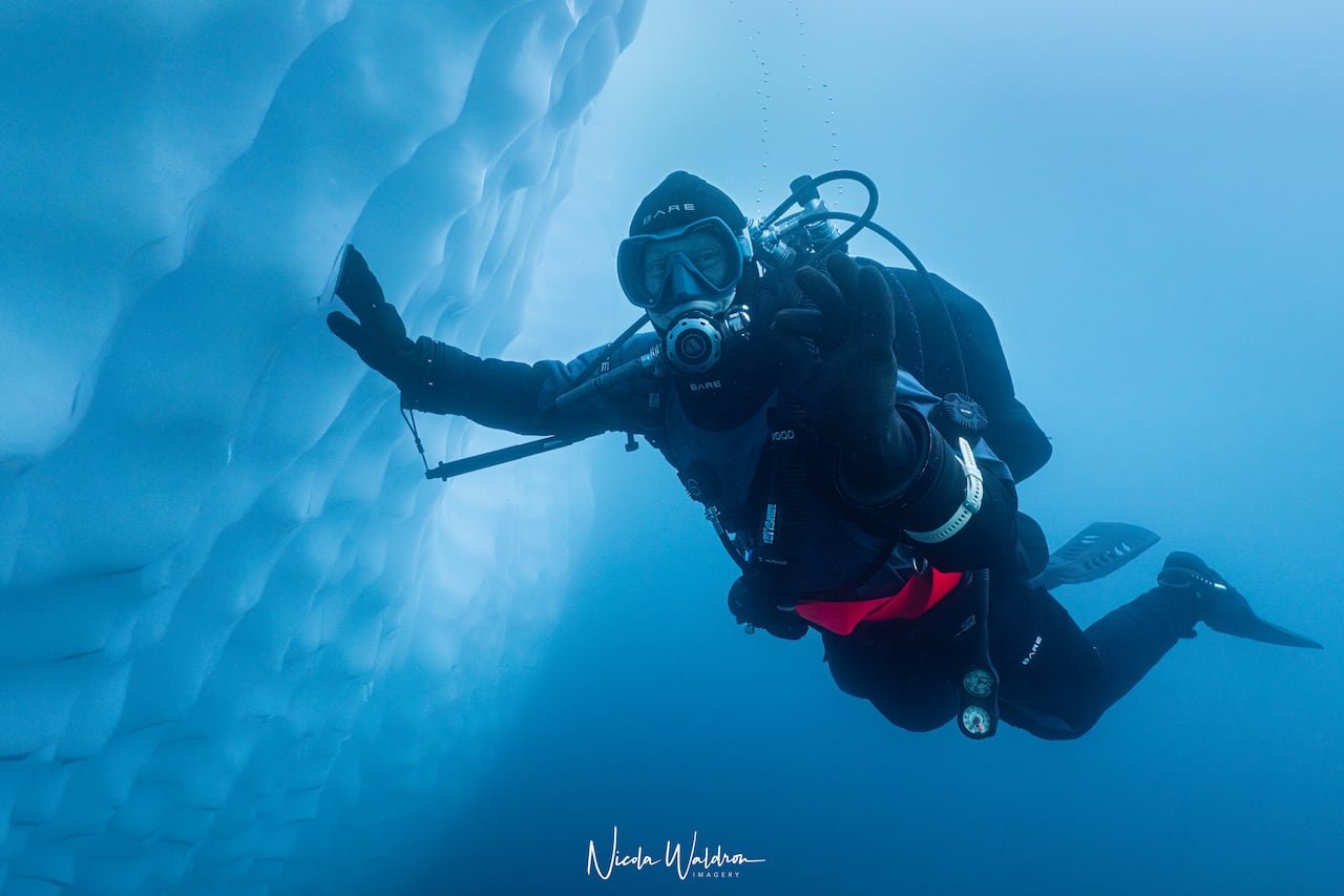 default-493 A woman touching a glacier underwater.